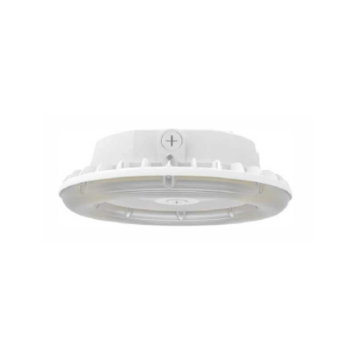 Canopy Light (40W-80W)